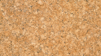 Gerflor PVC floor - PRIMETEX CORK NATUREL - 0027